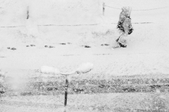 20.-Last-breath-of-the-winter