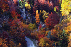 03.-Autumn-in-October