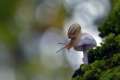 06.-Beautiful-nature-3